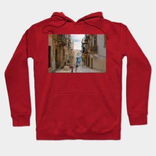 Steps down to the creek Hoodie